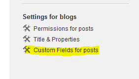 Blog post custom field